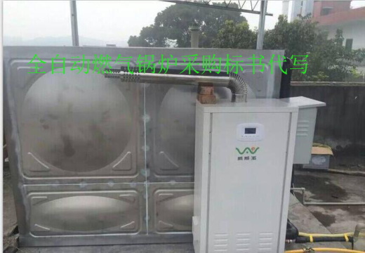 专业代写标书全自动燃气锅炉采购投标书代做公司_龙城标局